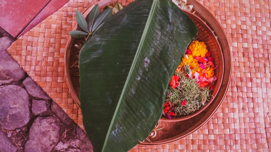 Ayurveda v Kerále - galerie 2